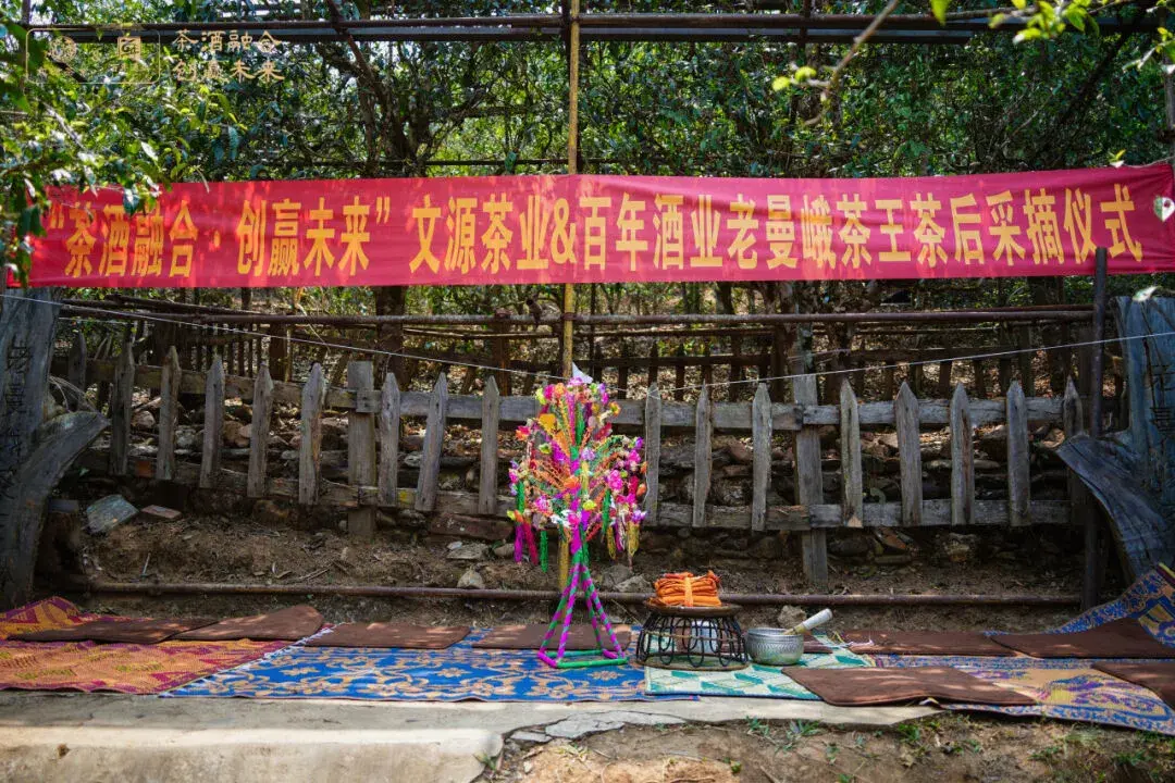 茶酒融合新模式携手创赢未来
