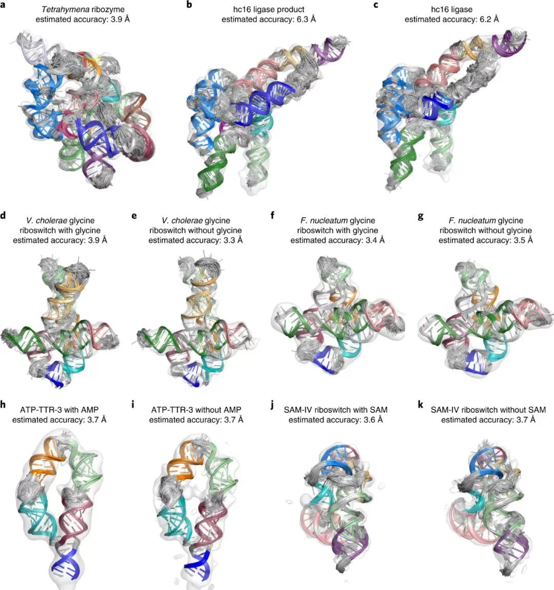 naturemethodsrna分子快速冷冻电镜结构解析方法