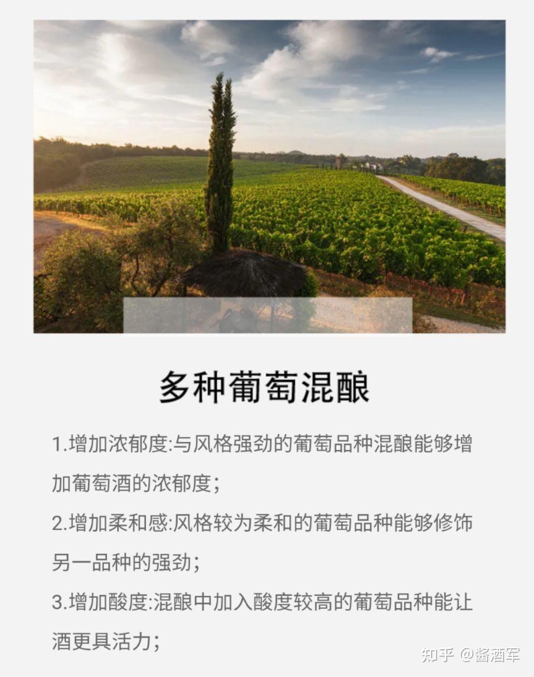 奥德飞马红葡萄酒馈赠佳品自留珍藏