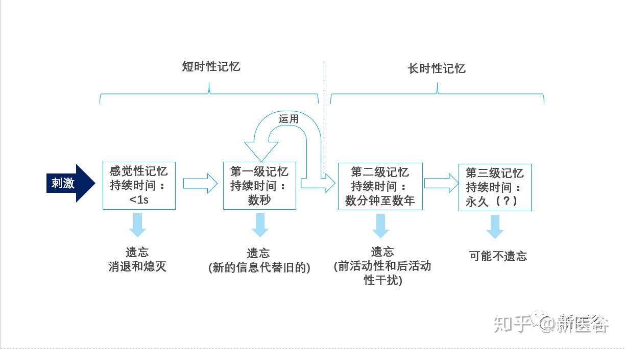 我和我的"记忆面包"