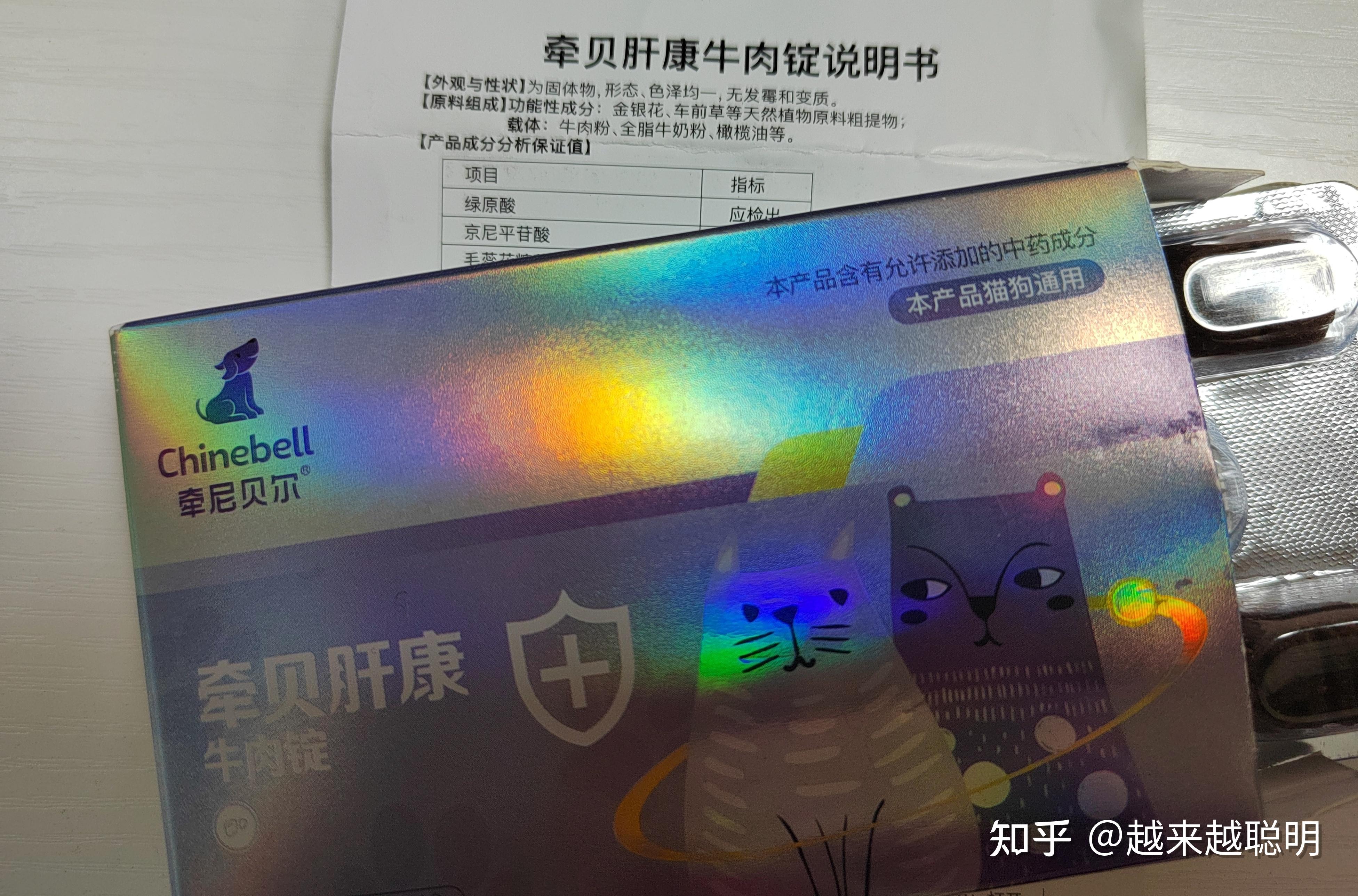 猫咪胰腺炎治疗过程治疗心得分享