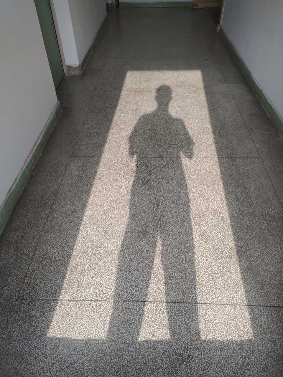 是不是你也忘了看看自己的影子现在是什么样了