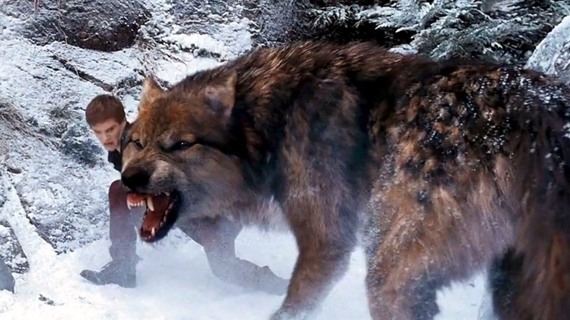 昨天 00:27 · 105 次播放吸血鬼狼人初代吸血鬼暮光之城(电影