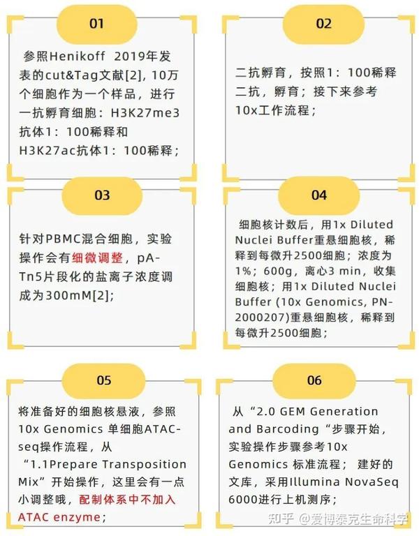 Nature文献解读 揭开单细胞CUT&Tag（scCUT&Tag）的神秘面纱！ 知乎