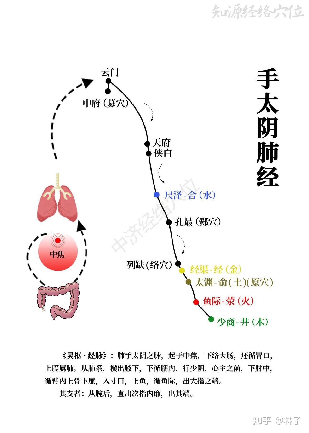 倪海厦人纪,针灸14 - 知乎