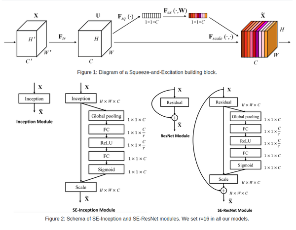 EfficientNet Pytorch 代码研究和实现 - 知乎