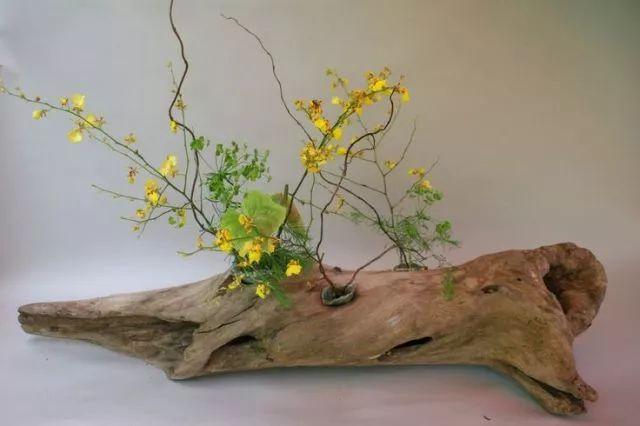 枯木花艺最喜枯木又逢春