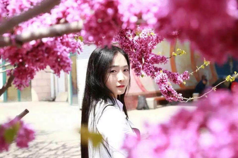 为什么抖音APP里帅哥美女那么多?