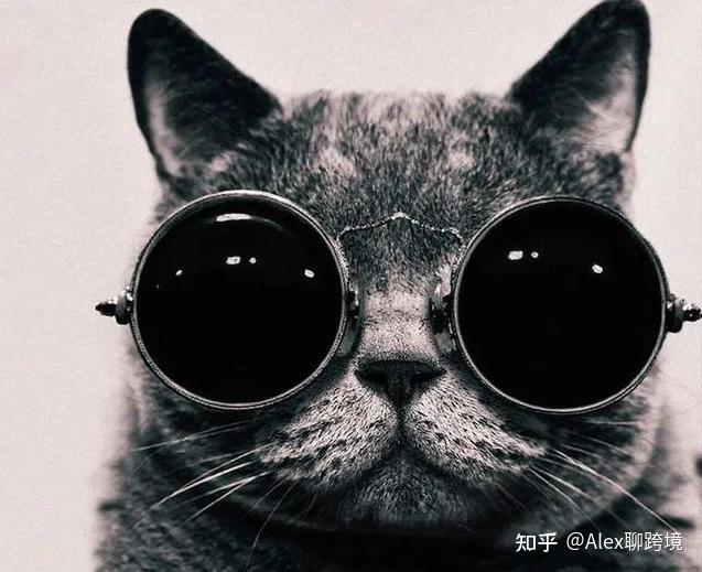 andrey prokhorov 戴眼镜的猫
