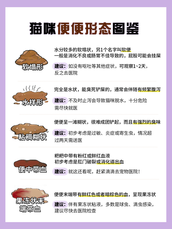 猫咪便便的8种形态丨自查猫咪健康状况 - 知乎