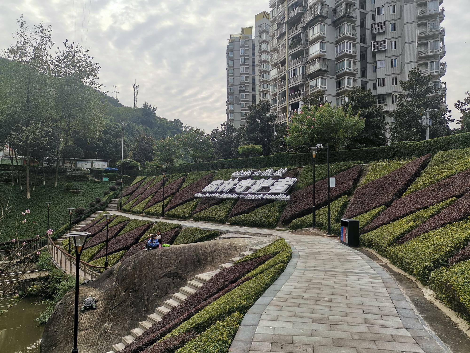 重庆渝北无名小公园伴山而建粗犷简单动物雕塑惹人爱