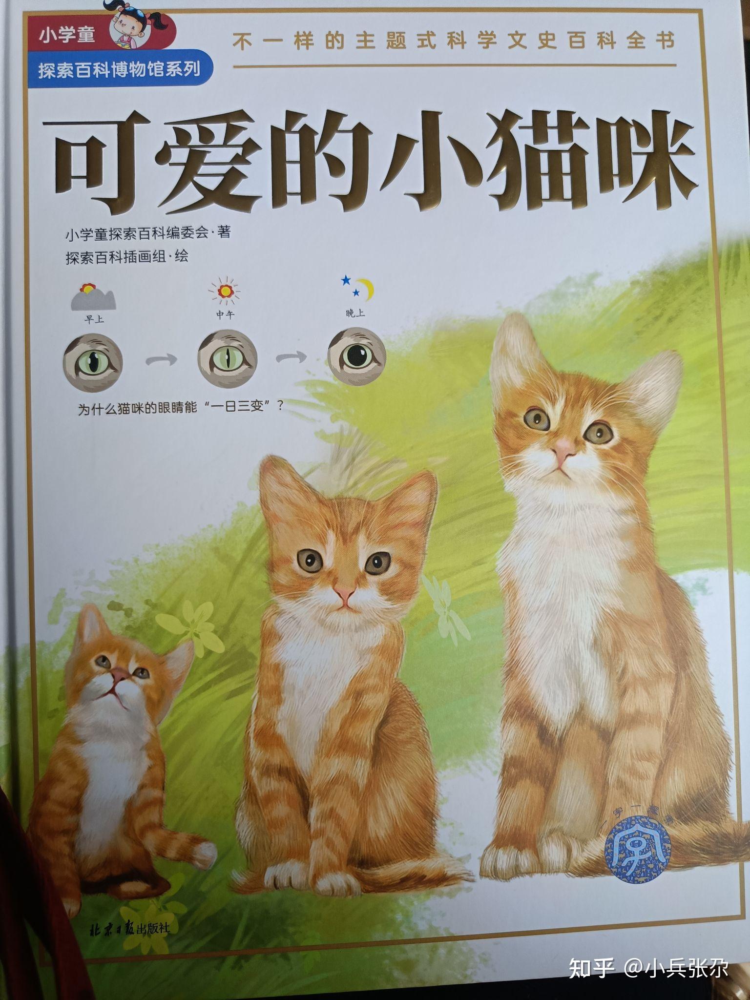 好书力荐,家庭必备之选,豆瓣评分9.9 有趣、好玩,助孩子探秘大千世界 看这套《小学童探索百科博物馆系列》足够了 - 知乎