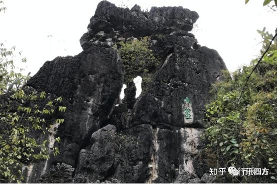 黄果树大瀑布细品-黄果树的瀑布短文答案