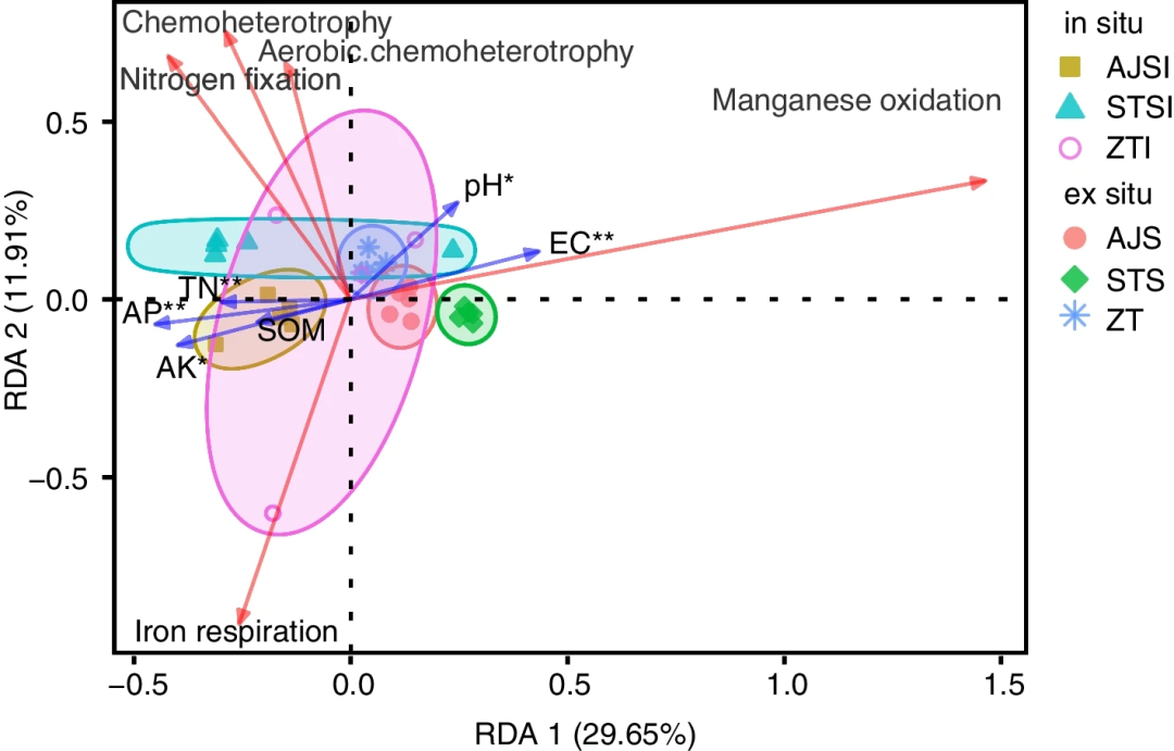 Microbiome Microbiome