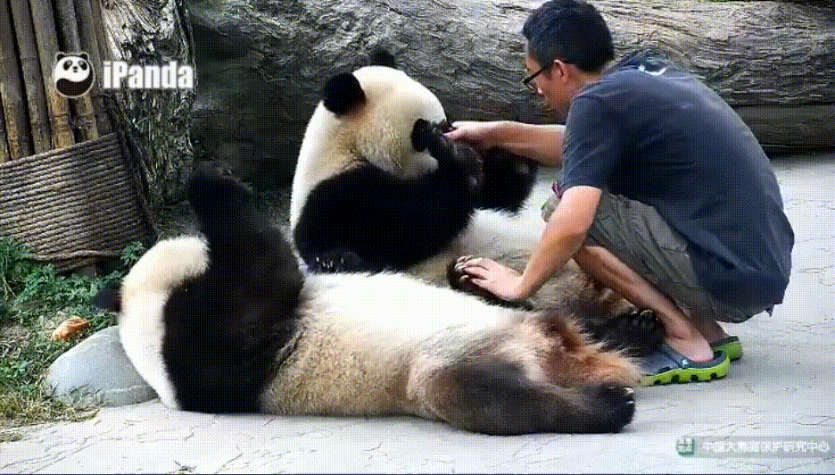 600_341gif 动态图 动图