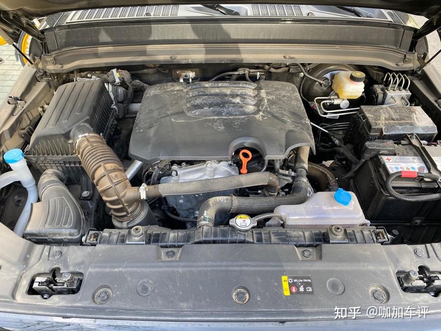 知耻而后勇详细体验魏派坦克300