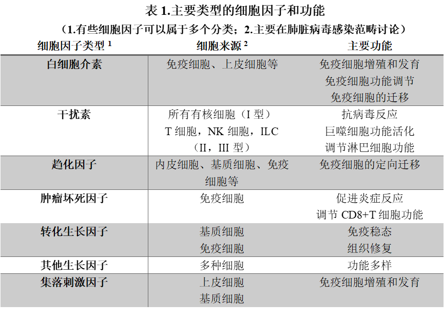 过犹不及的免疫反应:细胞因子风暴如何加速新冠病情