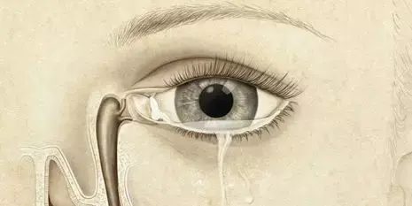 眼角红肿迎风流泪你了解泪道疾病吗