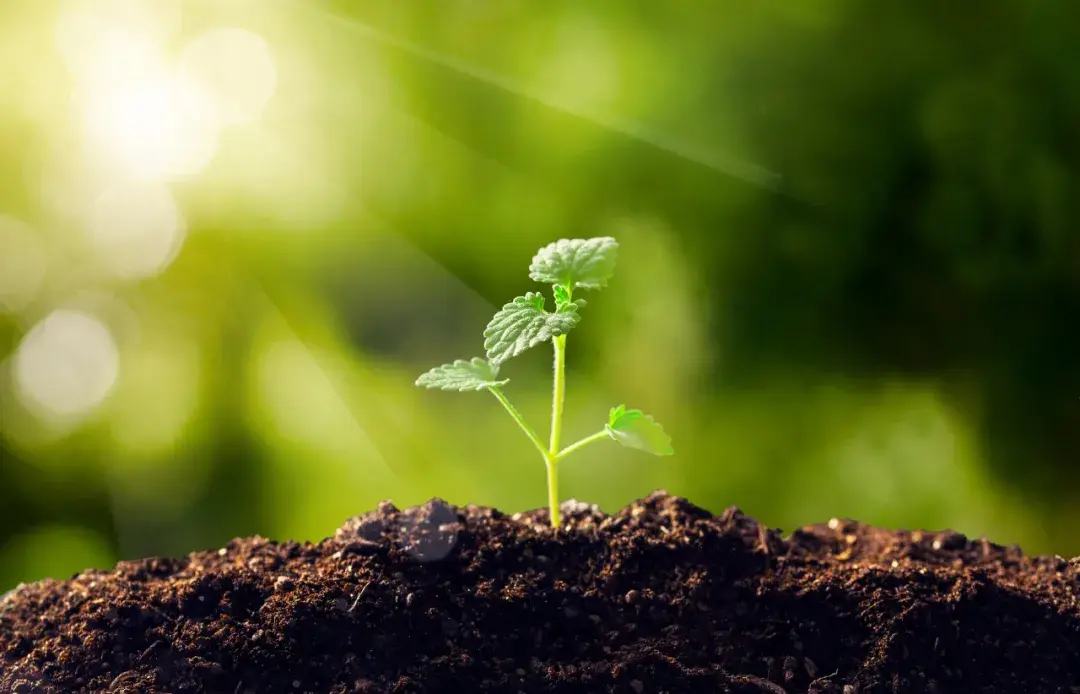 没钱没背景我靠什么33岁走上副县级岗位