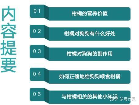 狗能吃柑橘吗 能吃 但喂食方法很重要 一份狗吃柑橘的超详清单 知乎