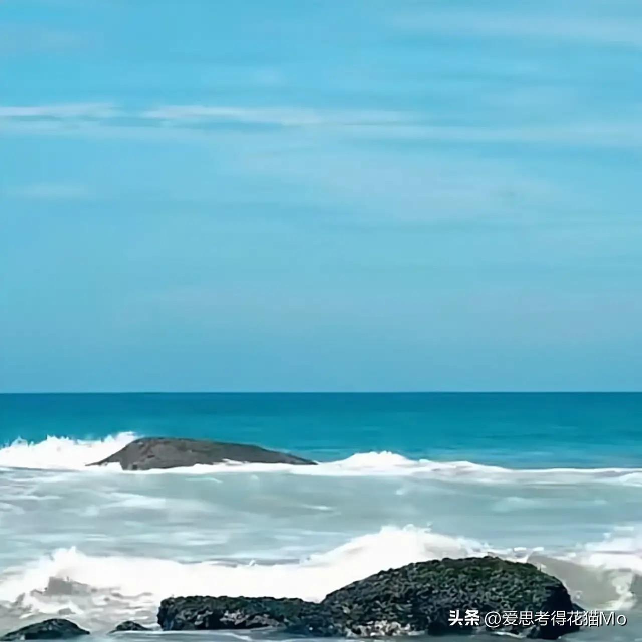 知无不言言无不尽