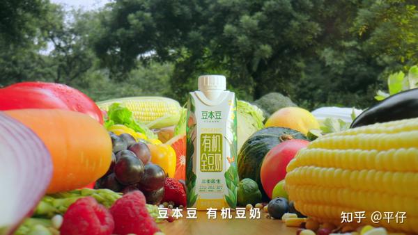 二,豆奶是独立的健康食品与牛奶形成互补