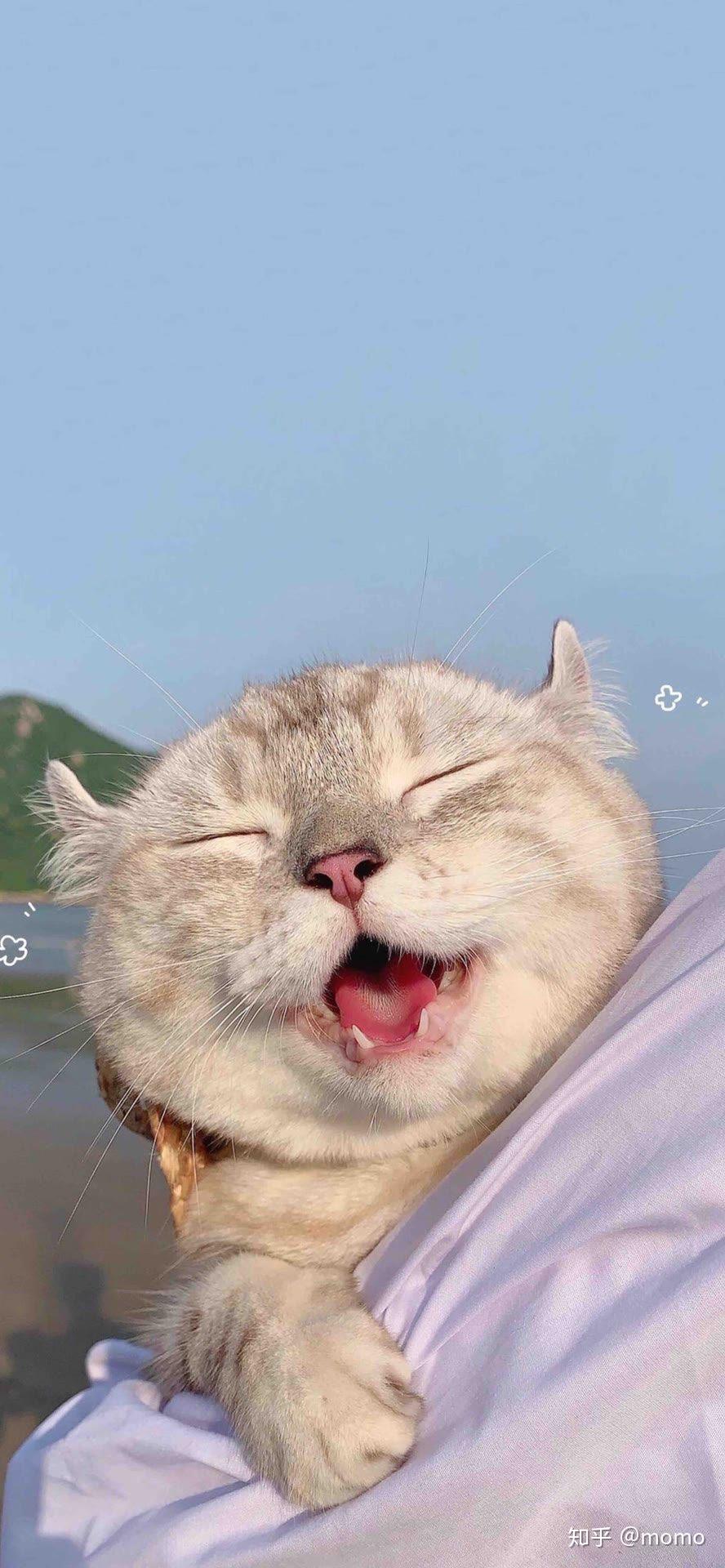 可以发一张比较治愈的照片给我吗? - 知乎