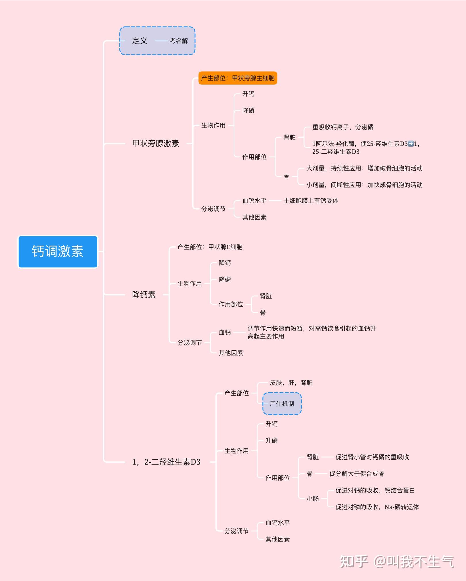 生理內分泌思維導圖