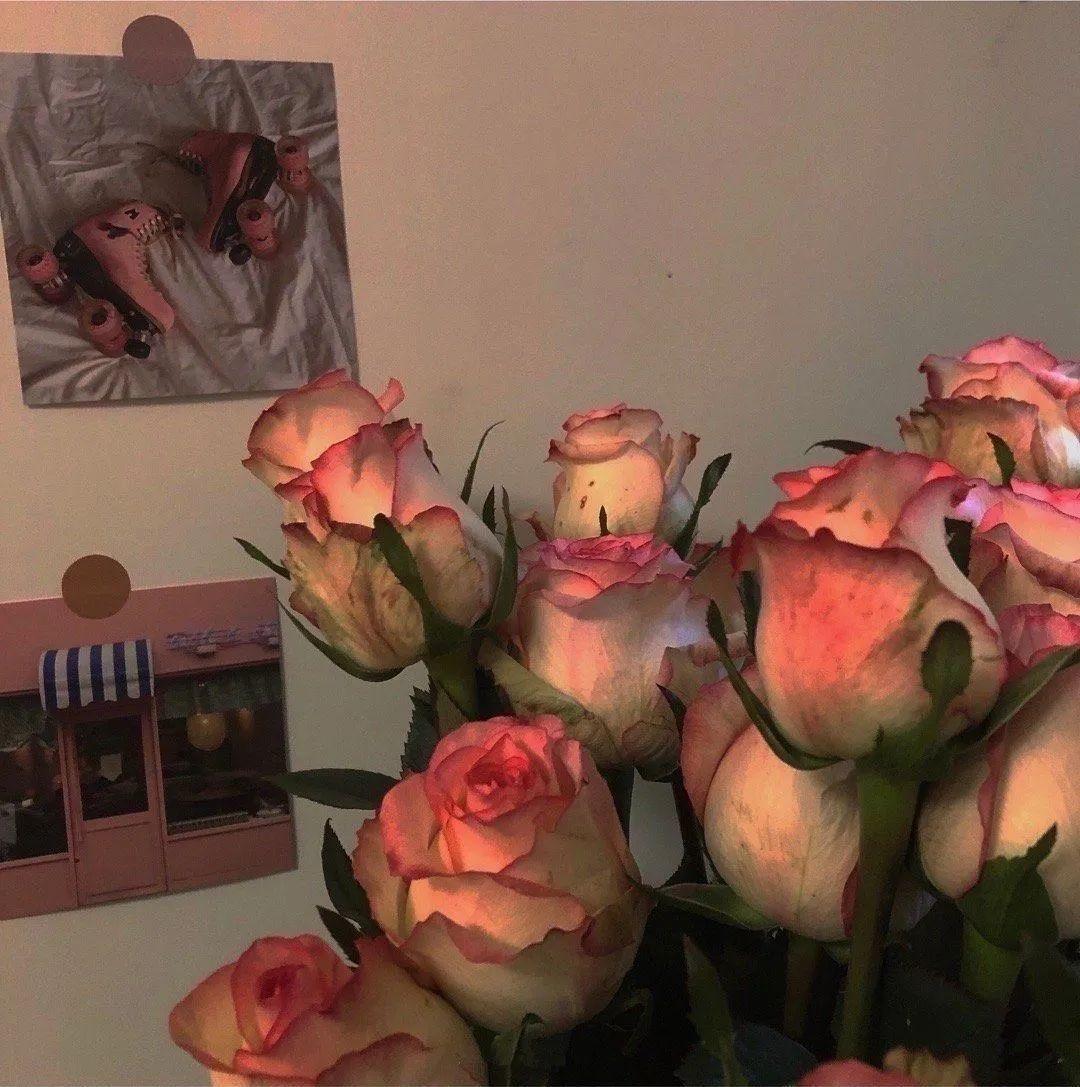 叼玫瑰花的少女头像图片素材-编号03723063-图行天下