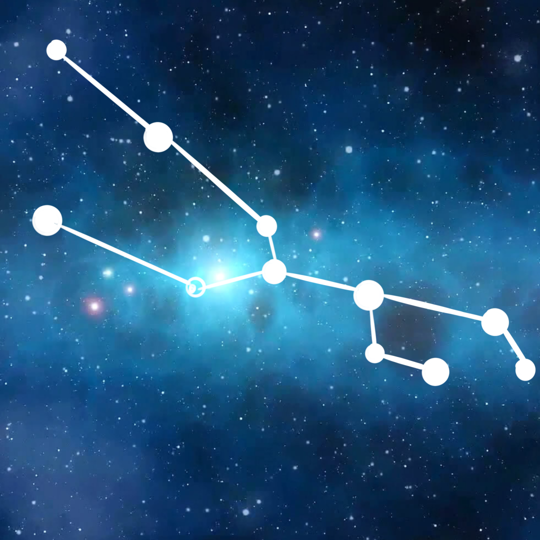 是这片区域的轨道交通就像金牛座的星图不仅是因为它在金牛区自西向南