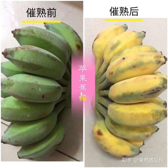 怎么能远离催熟香蕉呢,教你三招迅速判断!