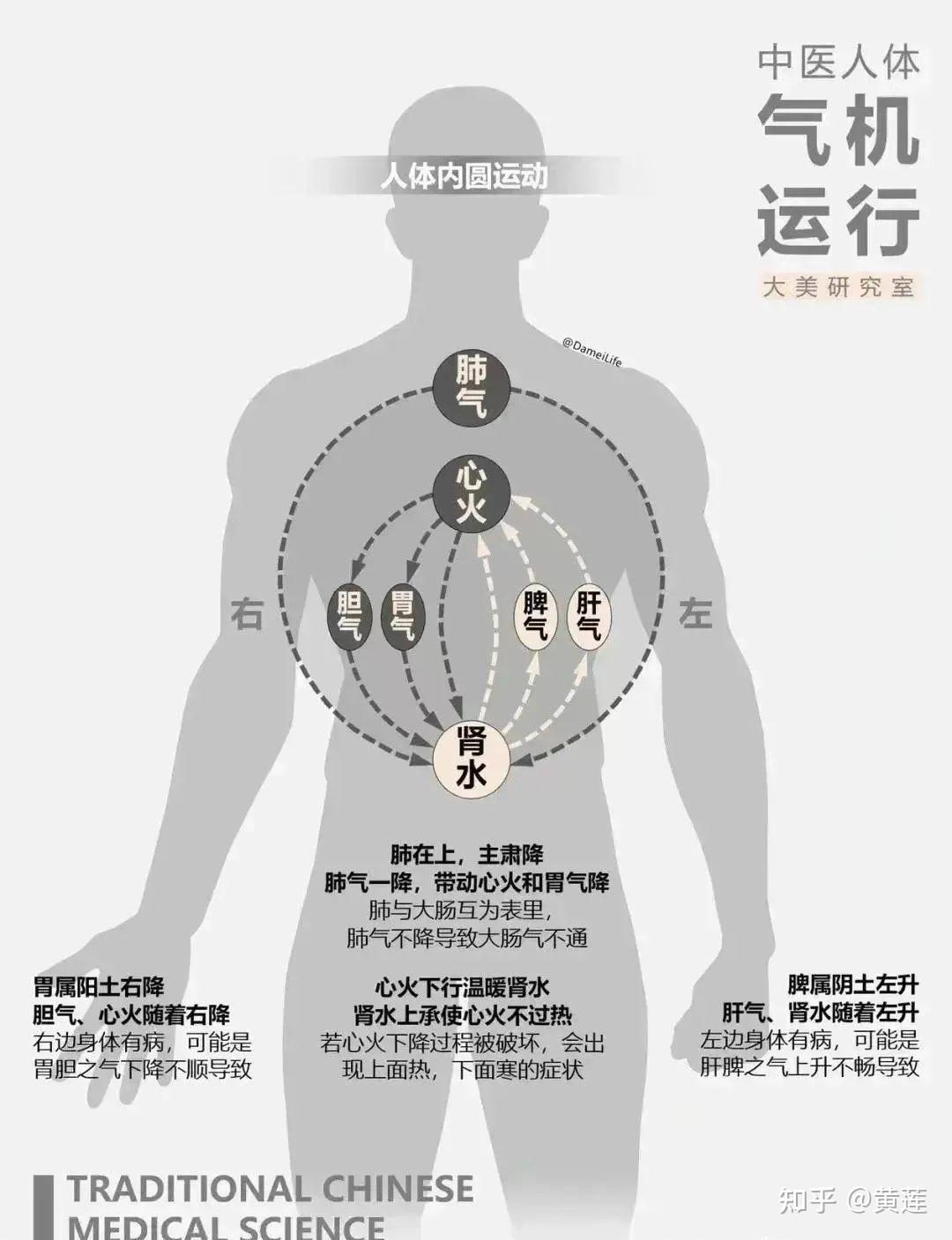 中医诊断学图表,总结不易! - 知乎