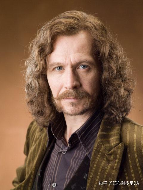 心思缜密的赫敏,充满智慧的邓布利多,还有刚正不阿的麦格教授