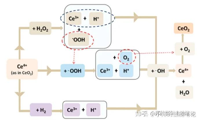 Ceo2 Sunscreen 深入了解自由基清除剂(FRS)——CeO2 - 知乎
