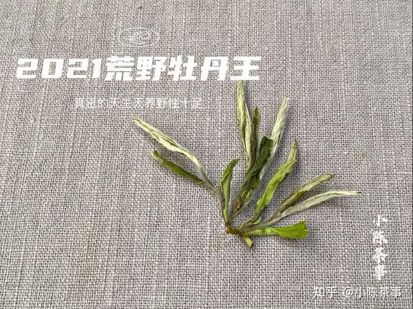 帮茶友鉴白茶,李麻花一看到图片就笑了,这也能叫牡丹王?