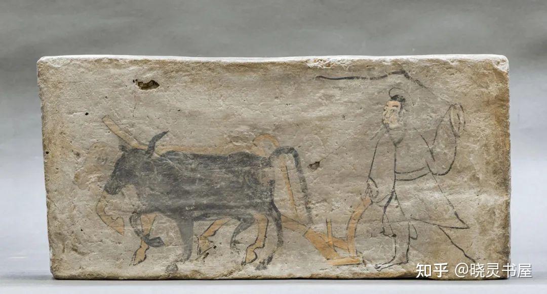 这种用两头牛共担一横杠,横杠中央连接犁架,即所谓的"二牛抬杠"式耕地