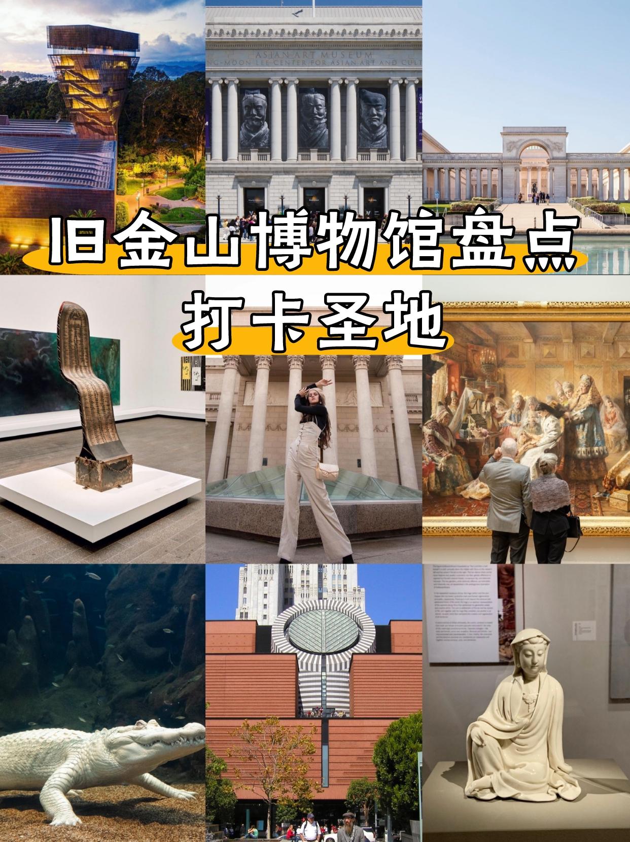 Golden Gate Park Activities Tomorrow