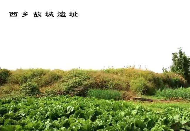 涿州西乡故城遗址