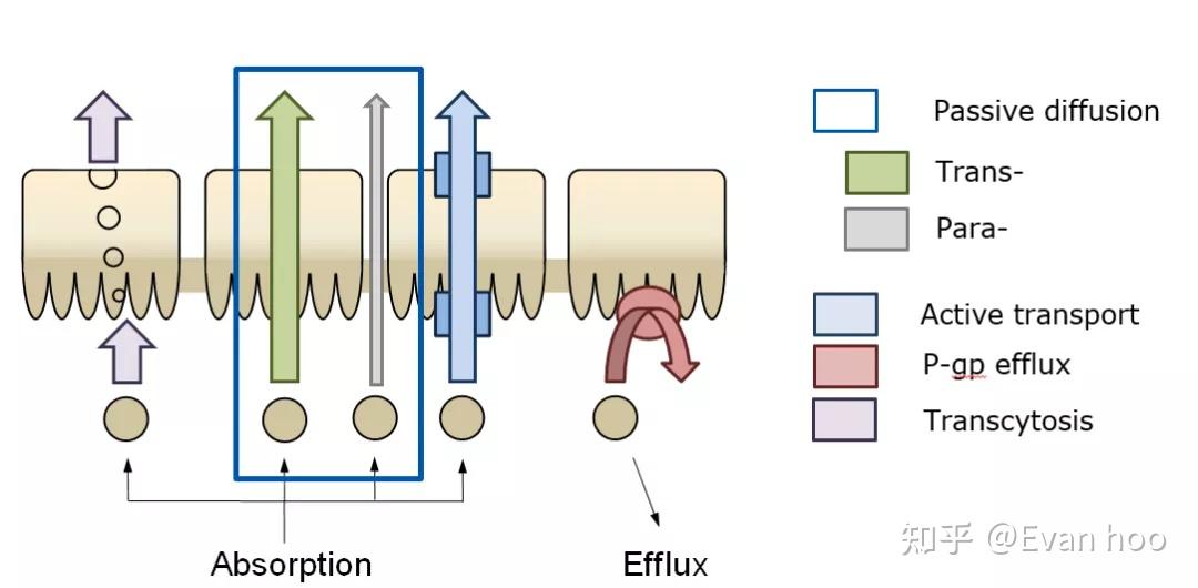 ACD/Labs Percepta 药性优化背后的相关科学背景知识 - 知乎