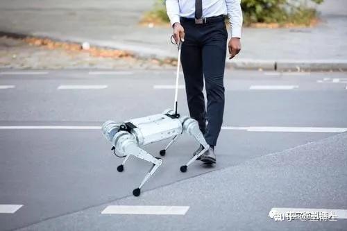 帮助盲人解决自主出行的问题机器导盲住宅小区,工业园区,商务办公区