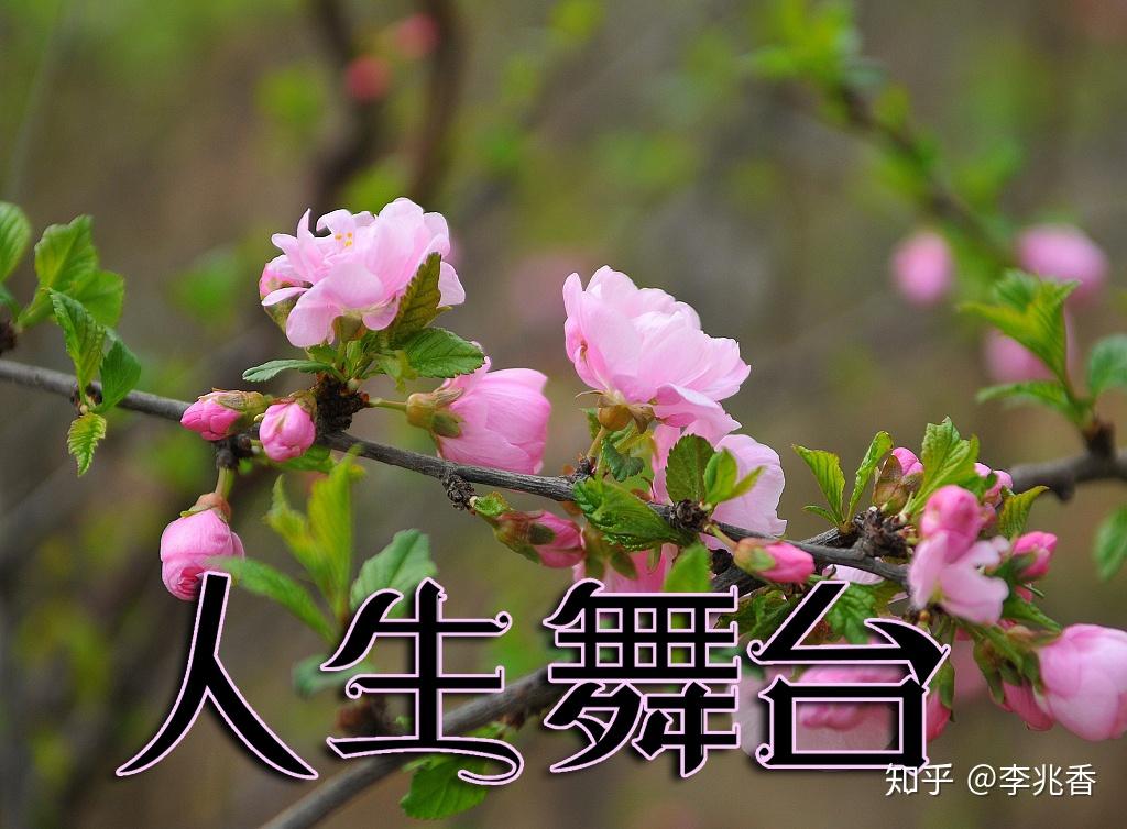 人生舞台正能量的句子最具鼓舞人心读后受用一生