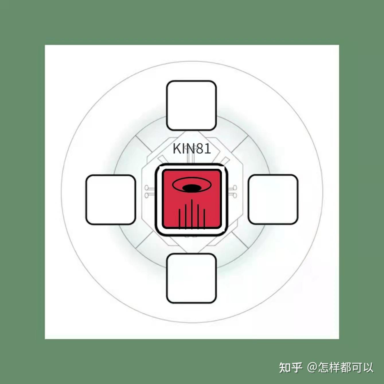 玛雅图腾白狗图片