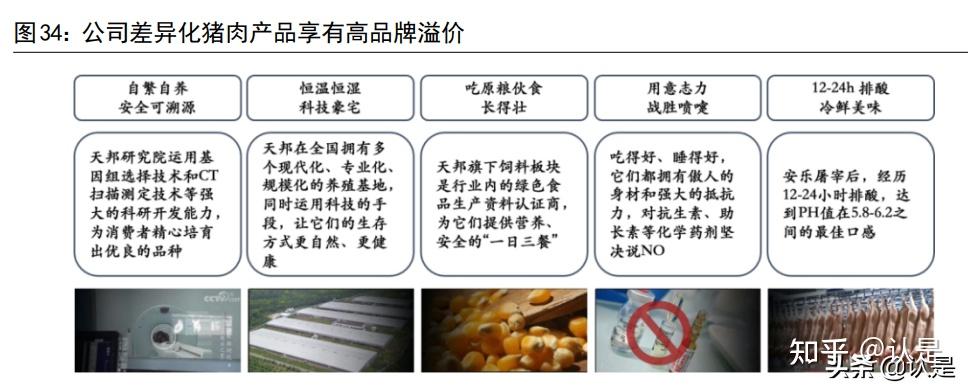 公司看點:生豬主業穩健擴張,食品加工快速發展