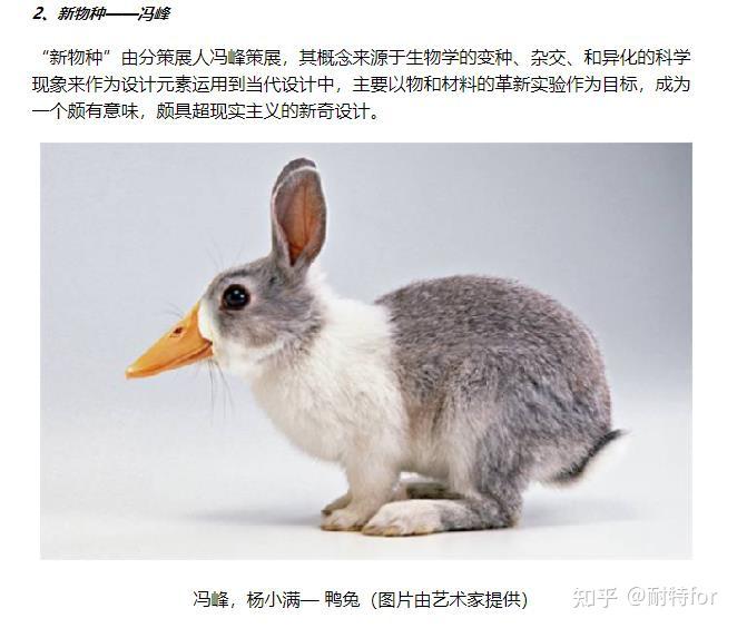 如何看待鸭兔元旦鸭兔形象状似米菲兔的创作行为