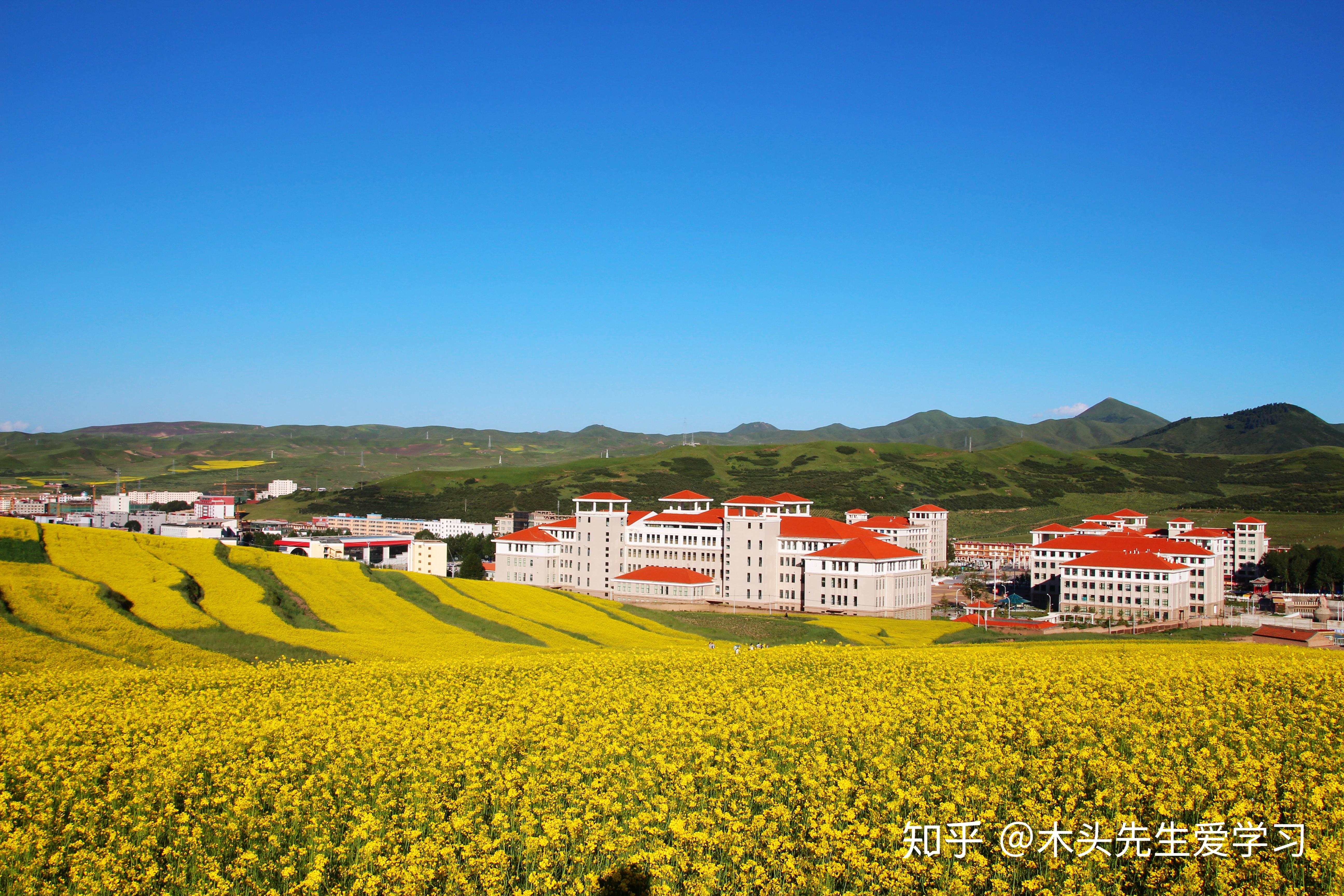 甘肃民院图片