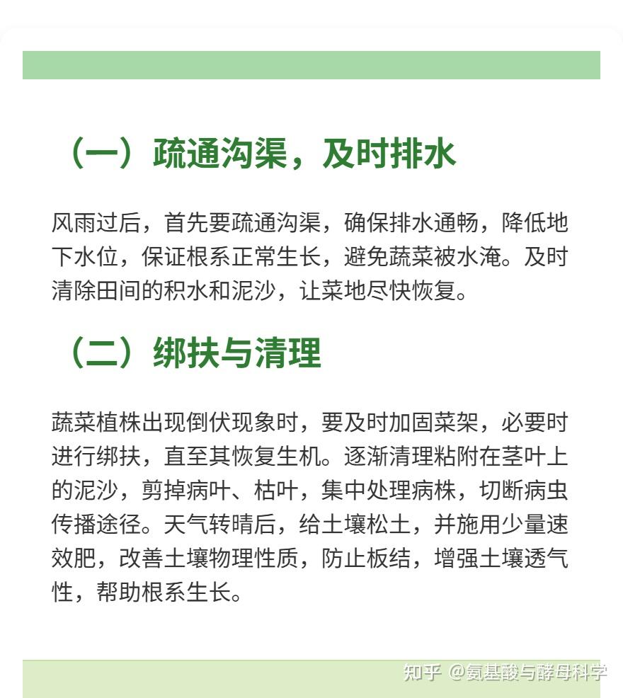 速看!大风后农作物倒伏,这些抢救要点能减损 - 知乎