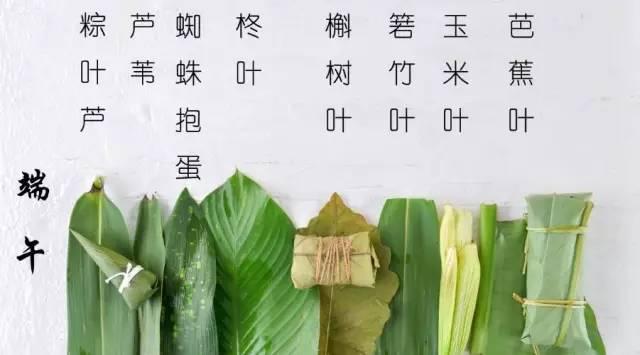 搞事情！粽叶到底有多少种？究竟哪种最正宗？粽馅到底可以包些啥？是咸的好吃还是甜的好吃？ - 知乎