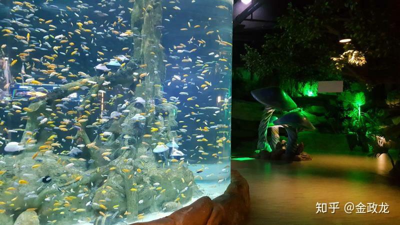 哪个动物园有水族馆 v2-0d09c0e8a6de57debc0a6e597828b1c1_r.jpg