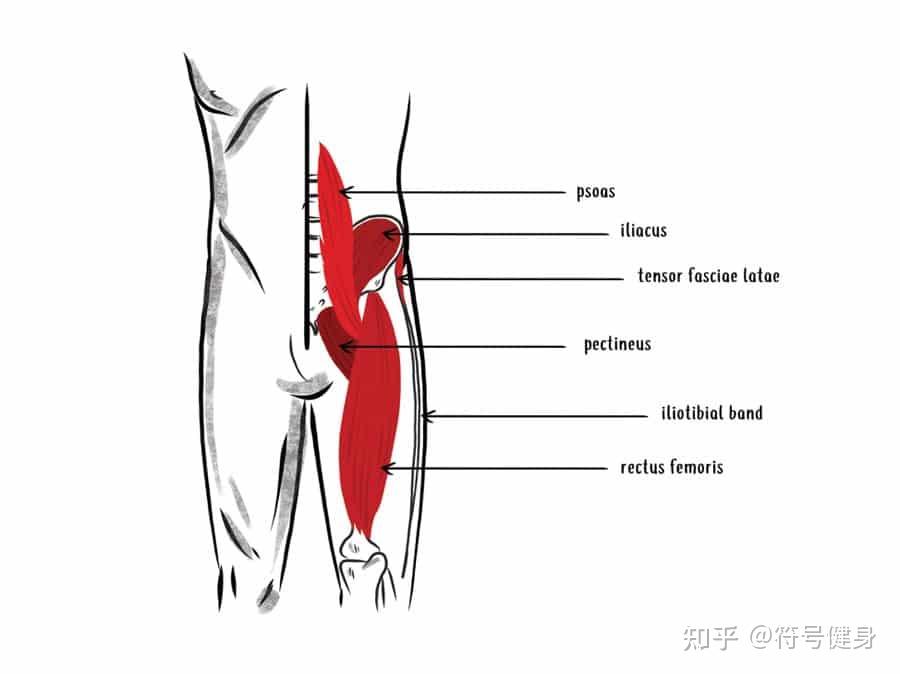 髋屈肌紧张的 5 个迹象