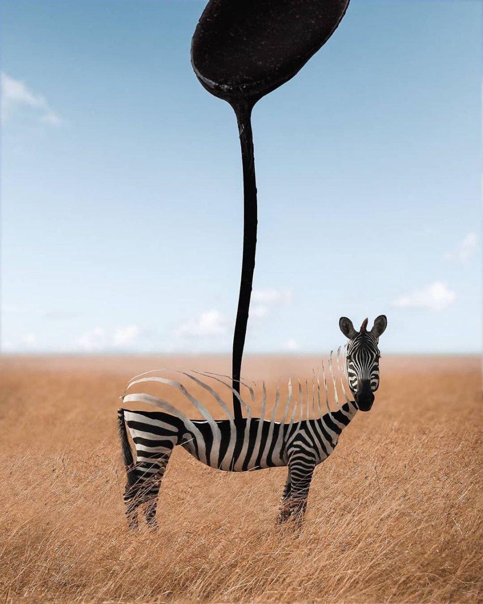 设计创意灵感605分享8份国外创意大神的设计概念创意灵感